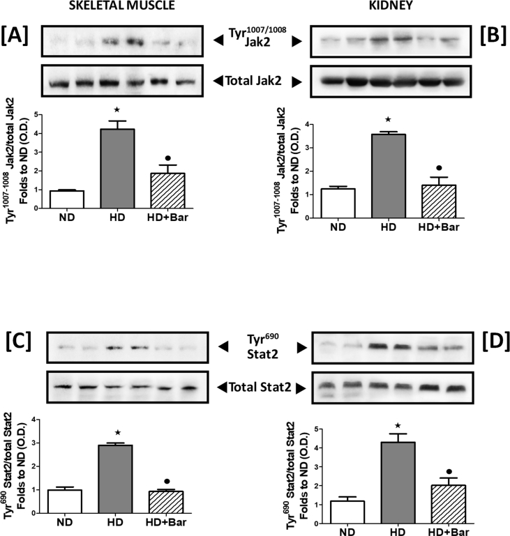 Figure 7