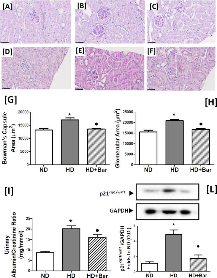 Figure 6