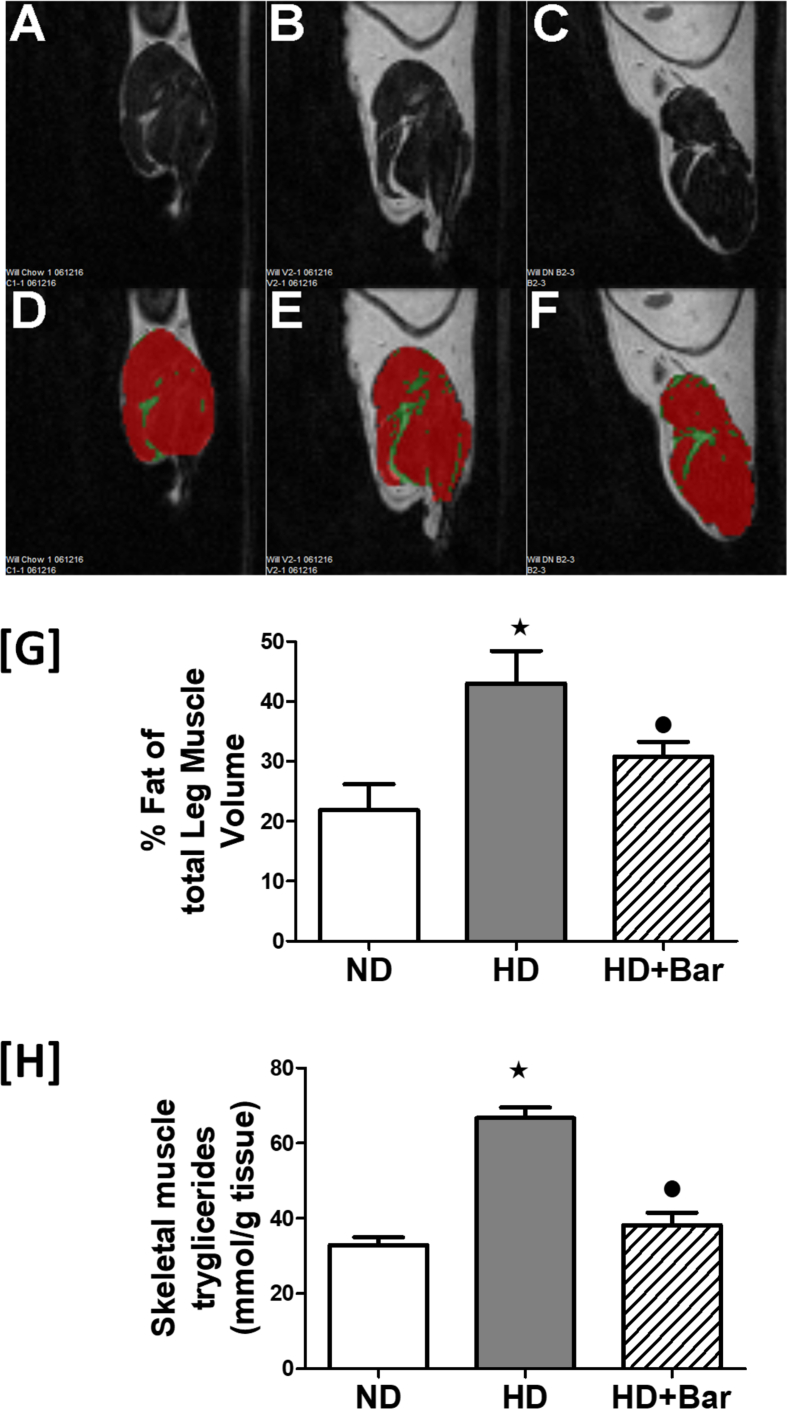 Figure 5