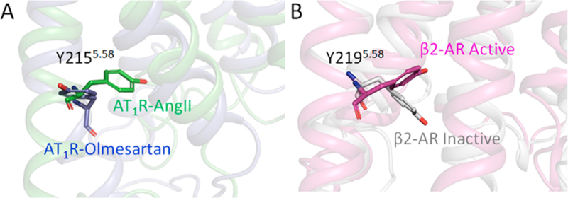 Figure 7.