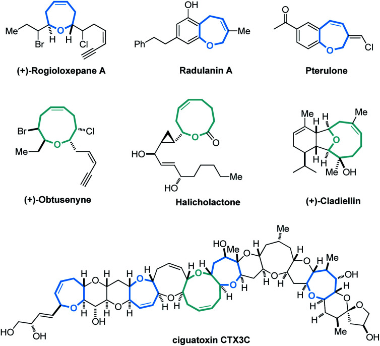 Regiodivergent construction of medium-sized heterocycles from ...