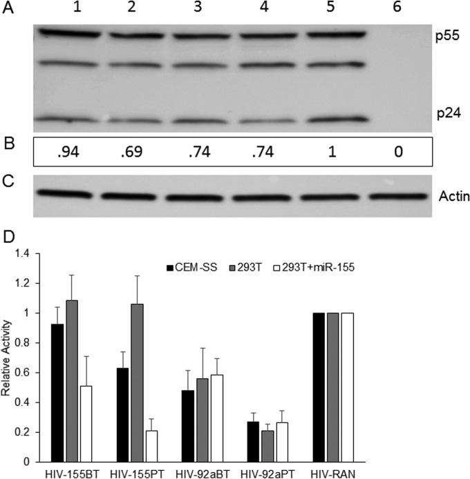 FIG 4 