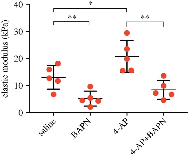 Figure 5.