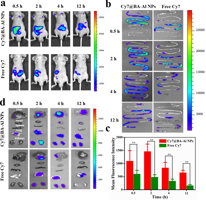 Fig. 4