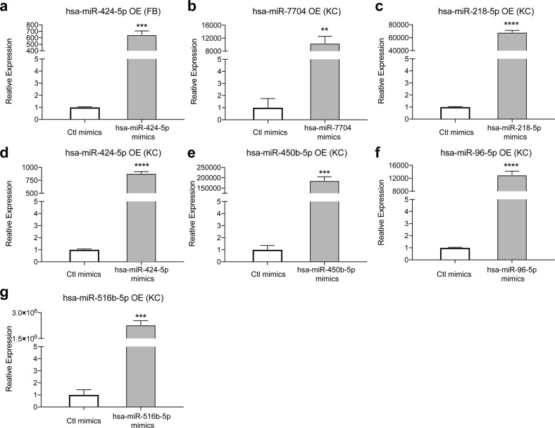 Figure 6—figure supplement 1.