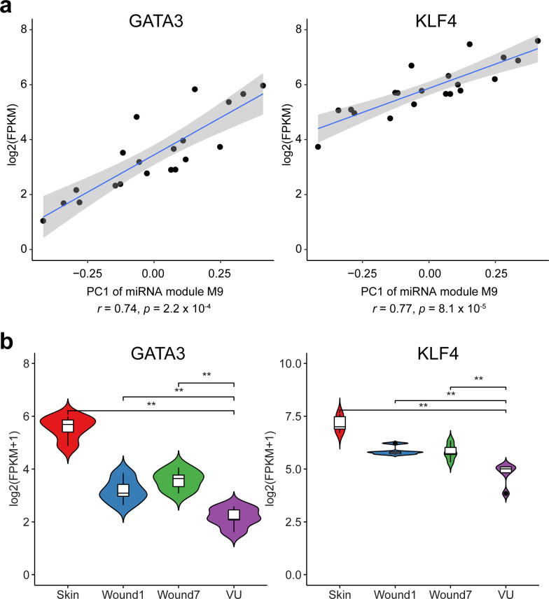 Figure 2—figure supplement 3.