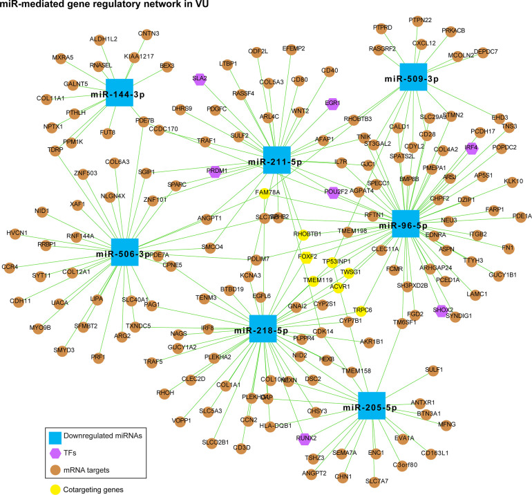 Figure 4—figure supplement 2.