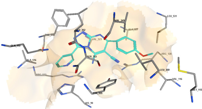 Figure 11