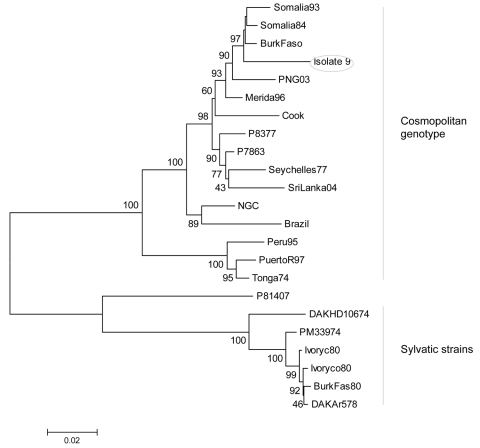 Figure 2