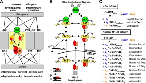 FIGURE 1.