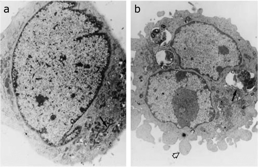 Fig. 5