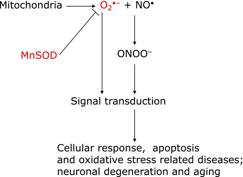 Fig. 4