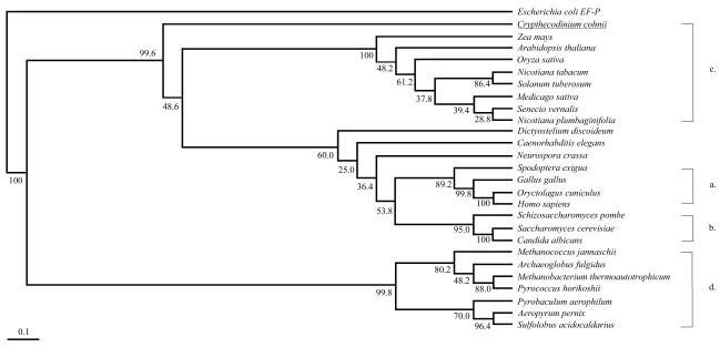 FIG. 1.