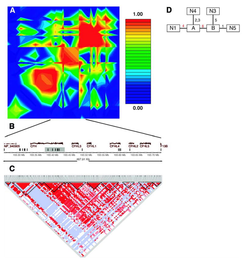 Fig. 2