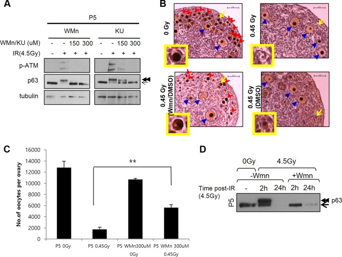 FIG 4