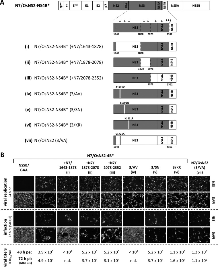 FIG 1