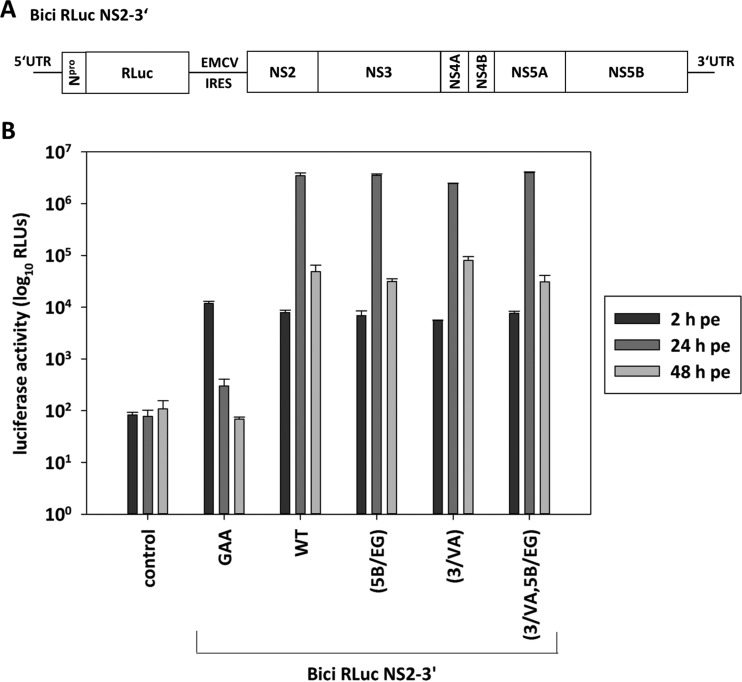 FIG 4