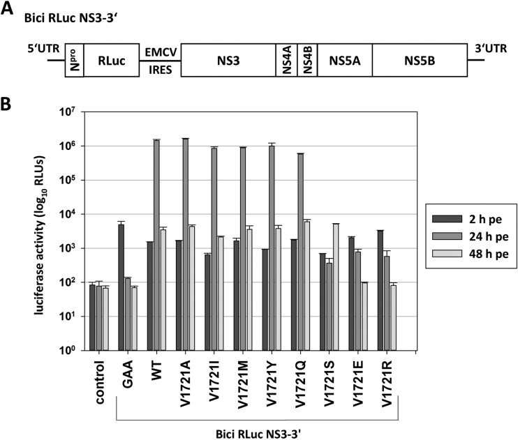 FIG 5