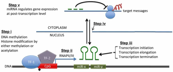 Fig. (2)