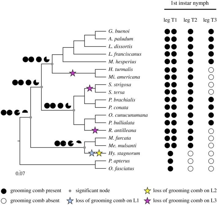 Figure 2.