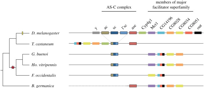 Figure 3.