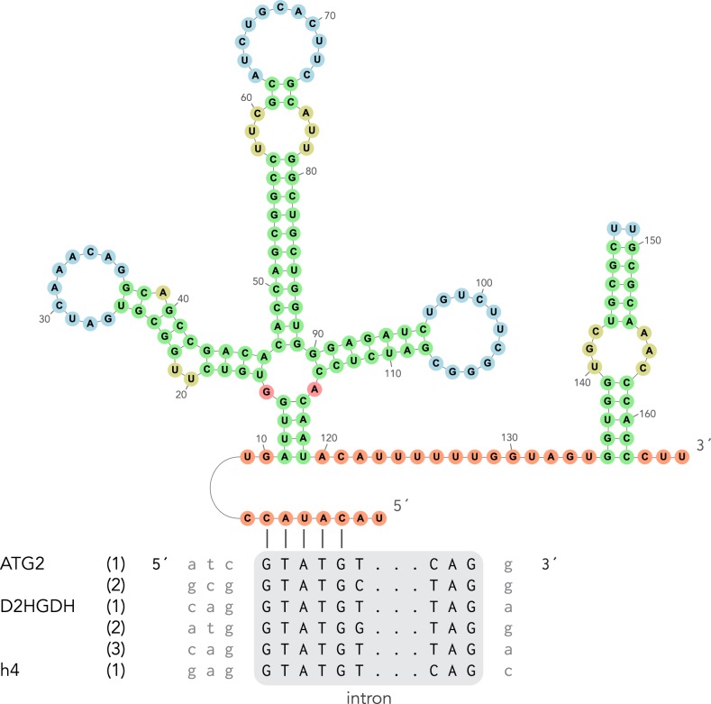 Figure 4.