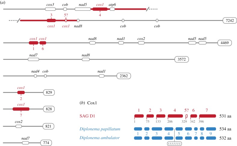 Figure 3.