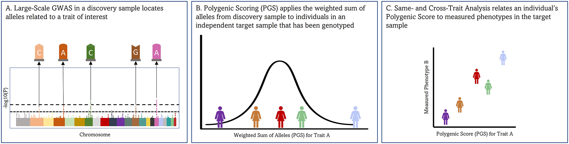 FIGURE 1