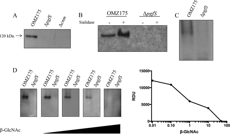 FIG 6