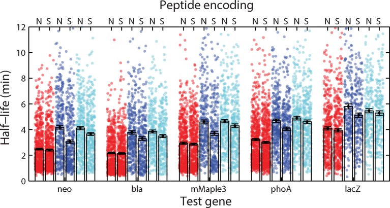 Figure 5—figure supplement 1.