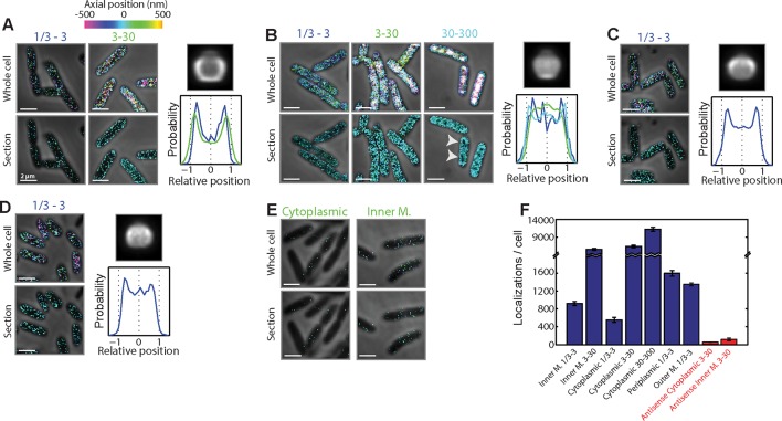 Figure 1—figure supplement 1.