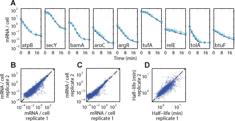 Figure 4—figure supplement 1.