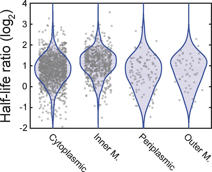 Figure 4—figure supplement 2.