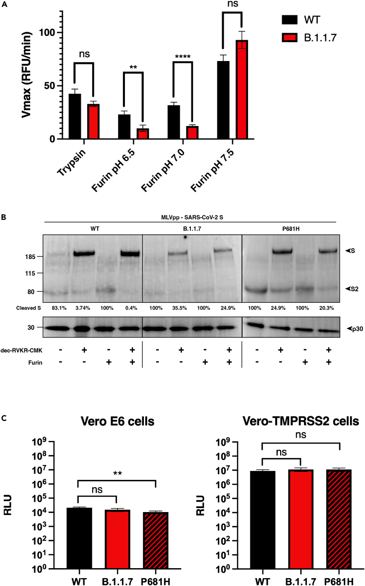 Figure 2