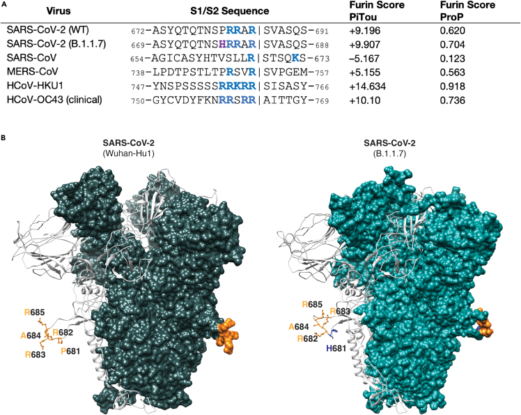 Figure 1