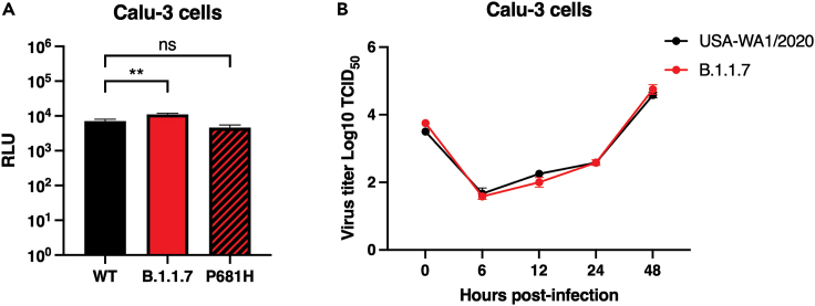 Figure 5