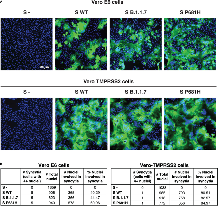 Figure 4