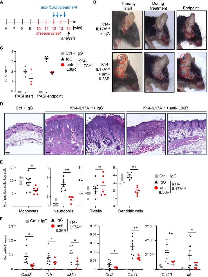 Figure 6