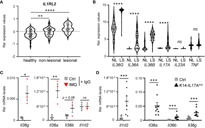 Figure 1