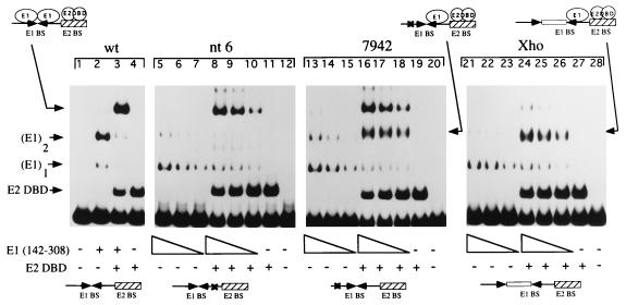 FIG. 5