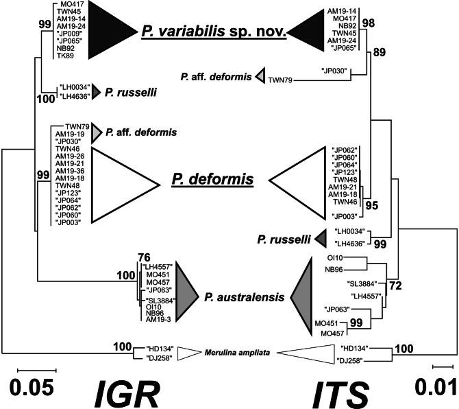 Figure 9.