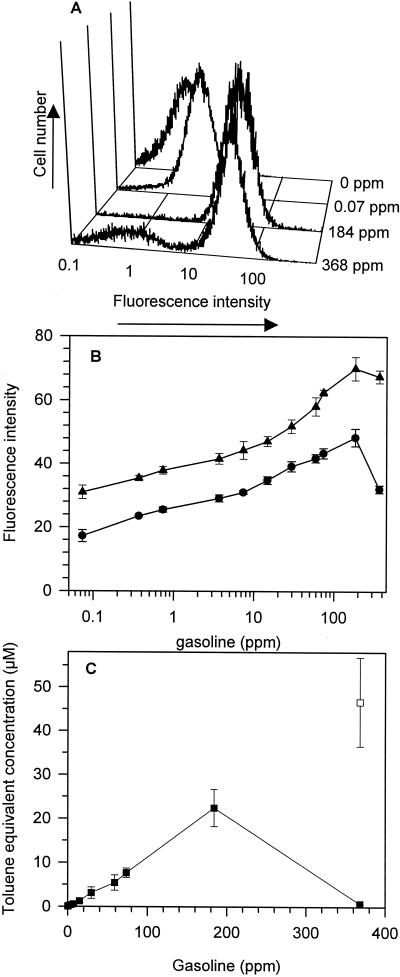 FIG. 6.