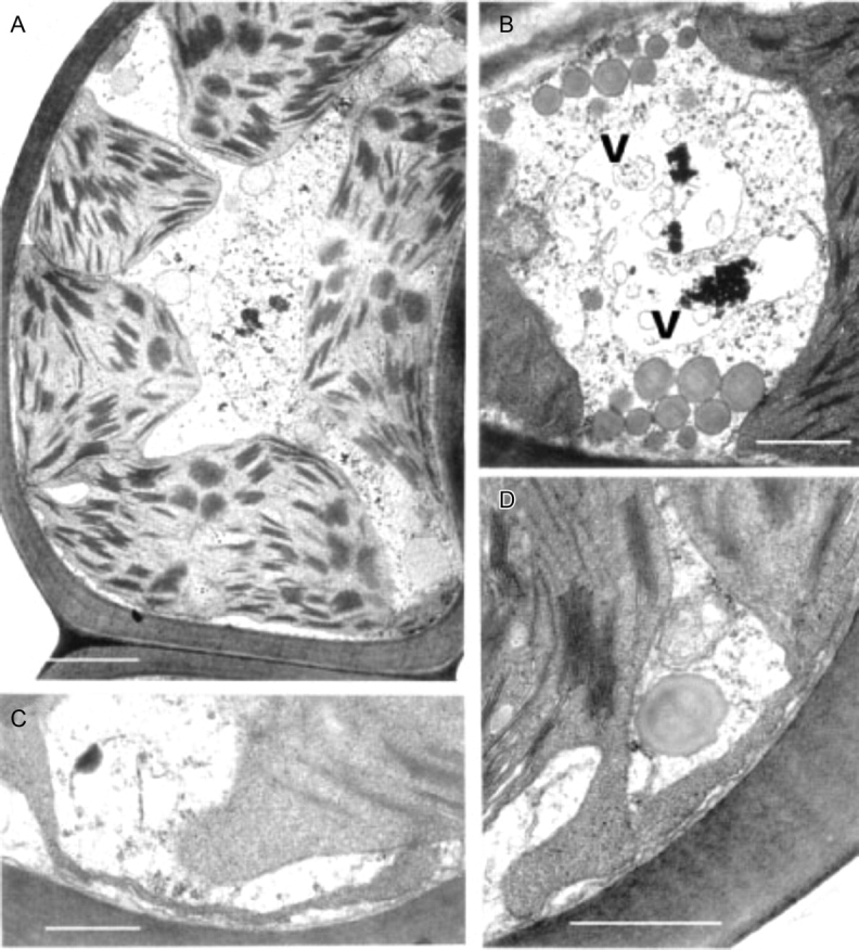 Fig. 13.