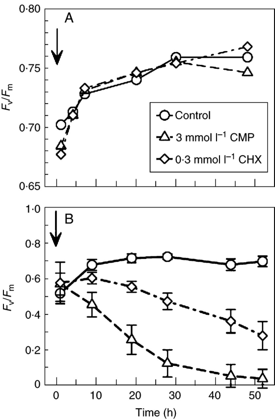 Fig. 6.