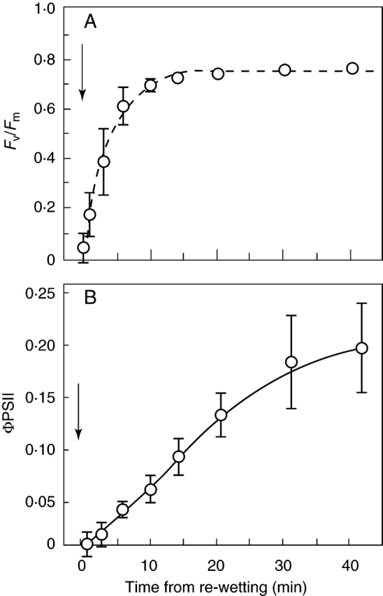 Fig. 4.