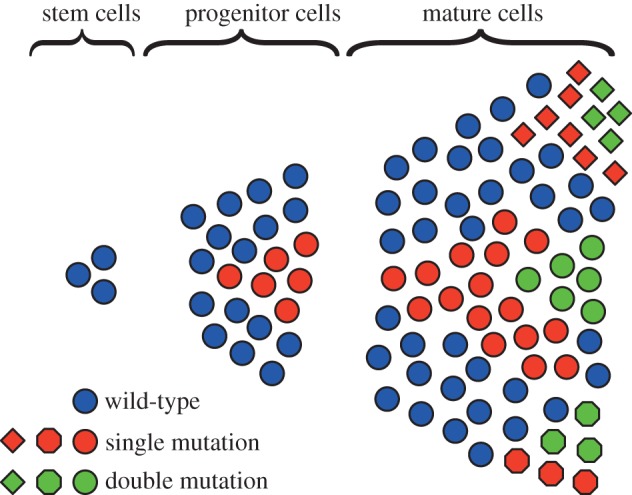 Figure 2.