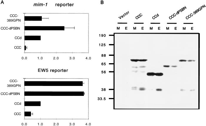 FIG. 6