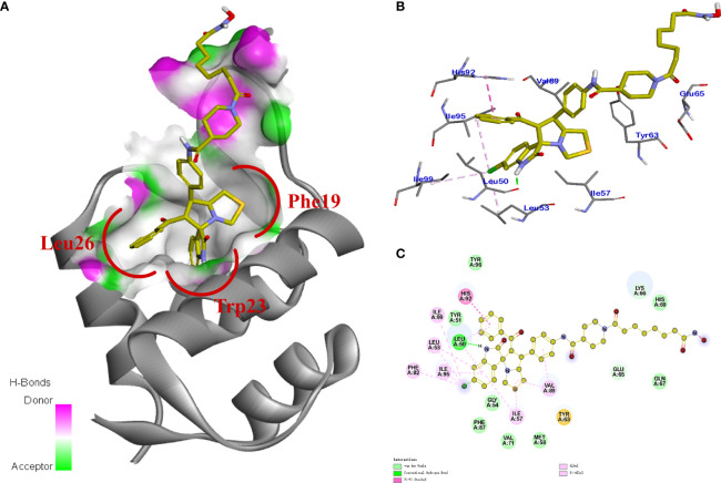 Figure 7