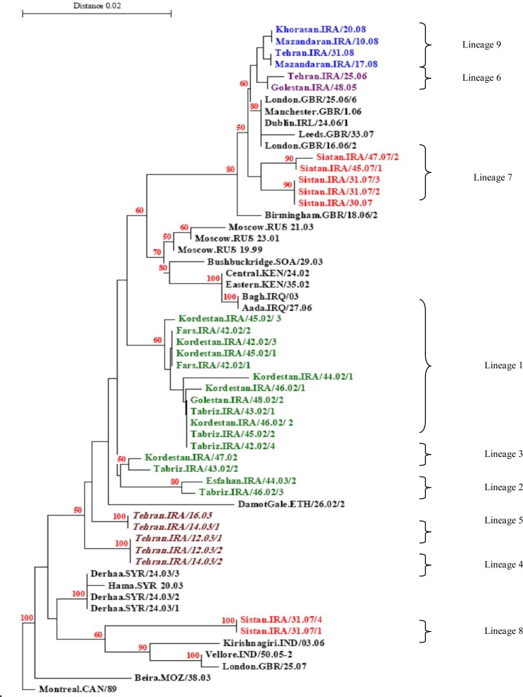 Fig. 1: