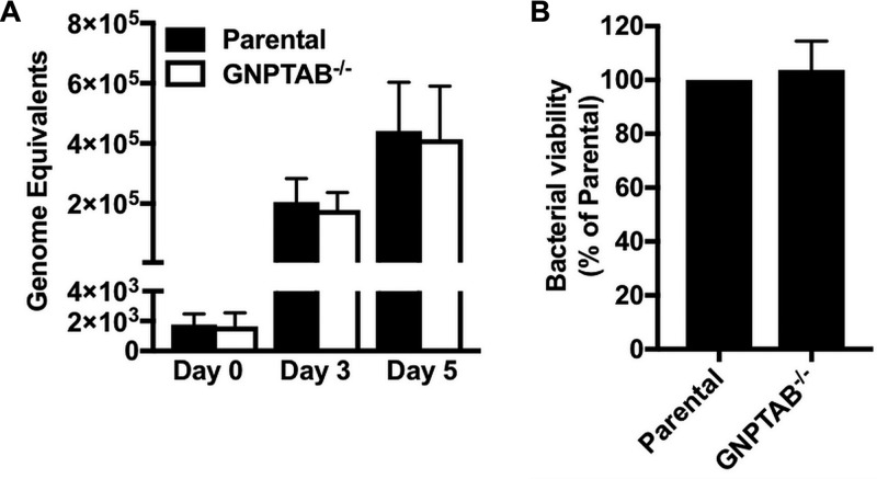 FIG 3